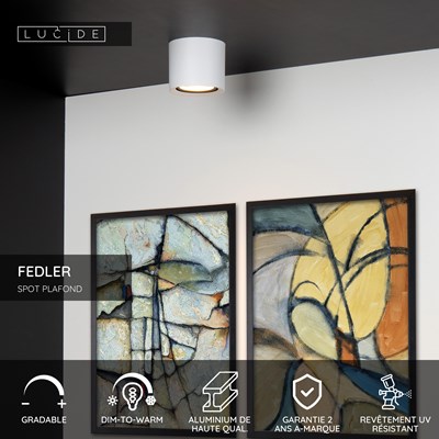 Lucide FEDLER - Spot plafond - Ø 12 cm - LED Dim to warm - GU10 (ES111) - 1x12W 2200K/3000K - Blanc